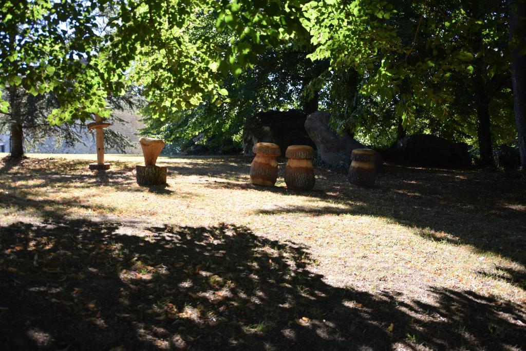 مبيت وإفطار Liorac-sur-Louyre Domaine De La Rocque المظهر الخارجي الصورة
